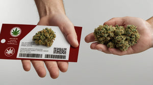 Beware Unlabeled THCA Flower Sales: Protect Your Health
