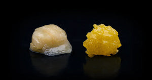 Does Hash Rosin Get You Higher Than Live Resin?