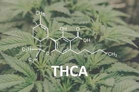 Avoiding the Pitfalls: Five THCA Hemp Flower Myths Debunked