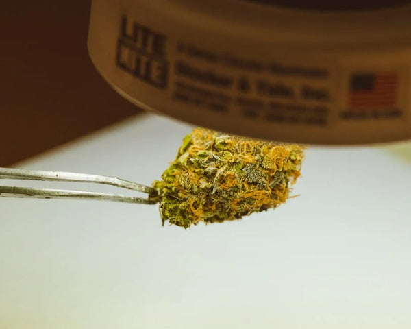The Art and Science of Cannabis Extraction: Techniques Explained