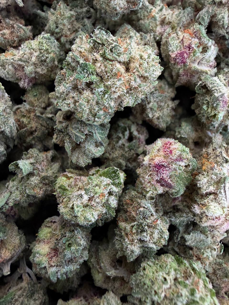 #30 1/2oz (SMALLS/MEDIUMS) | Cali Blaise