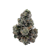 Gas Face x Toad Venom 1/2oz | Cali Blaise