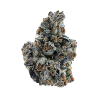 Gassius Clay 1/2oz | Parlay