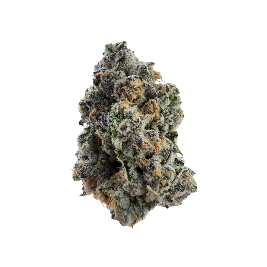 Horchata 1/2oz | Cali Blaise