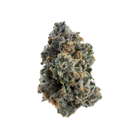 Horchata 1/2oz | Cali Blaise