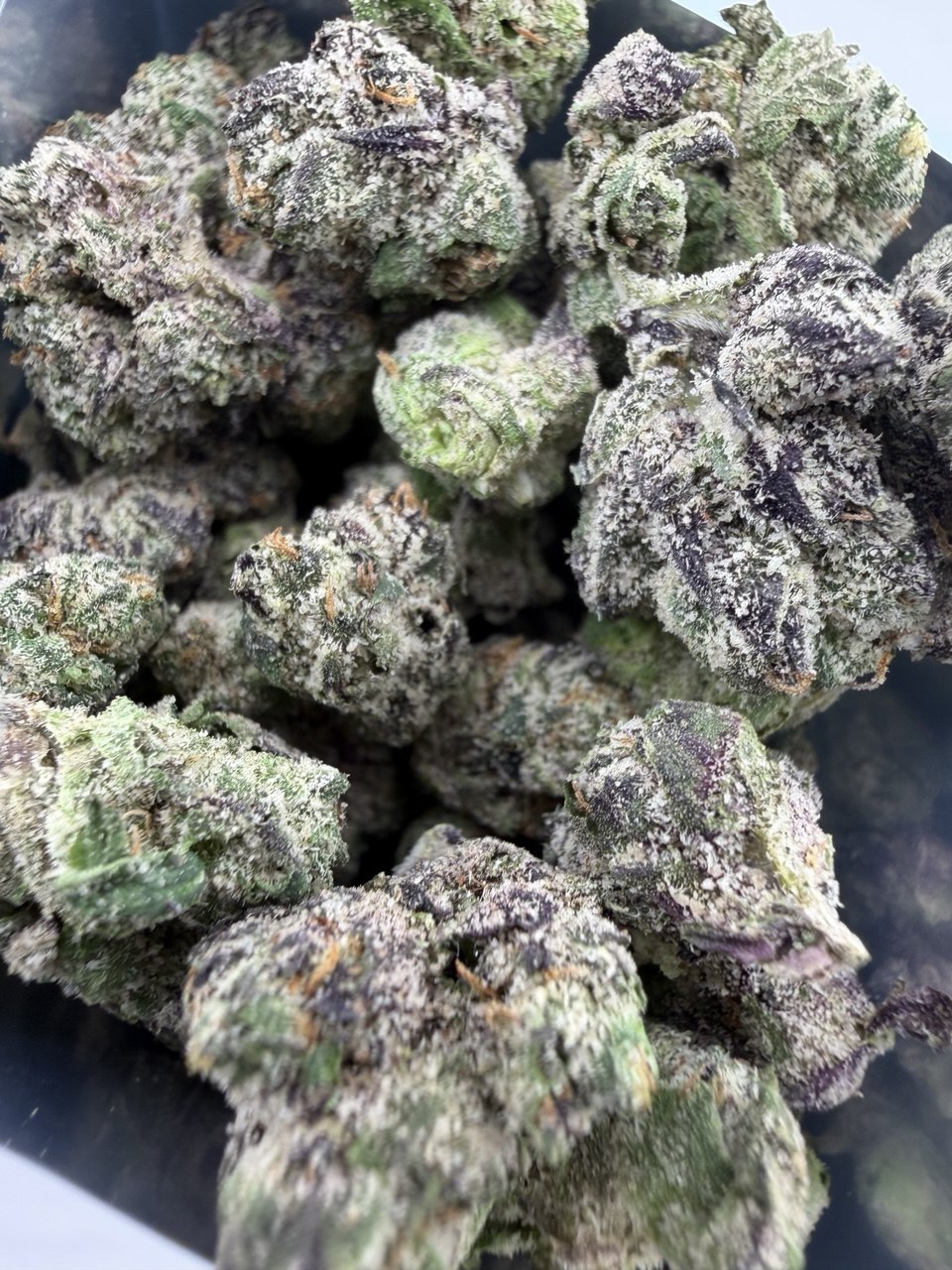 Pink Runtz 1/2oz (SMALLS) | Cali Blaise