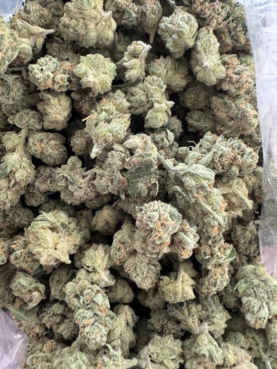 Star Warz 1/2oz (SMALLS/MEDIUMS) | Cali Blaise