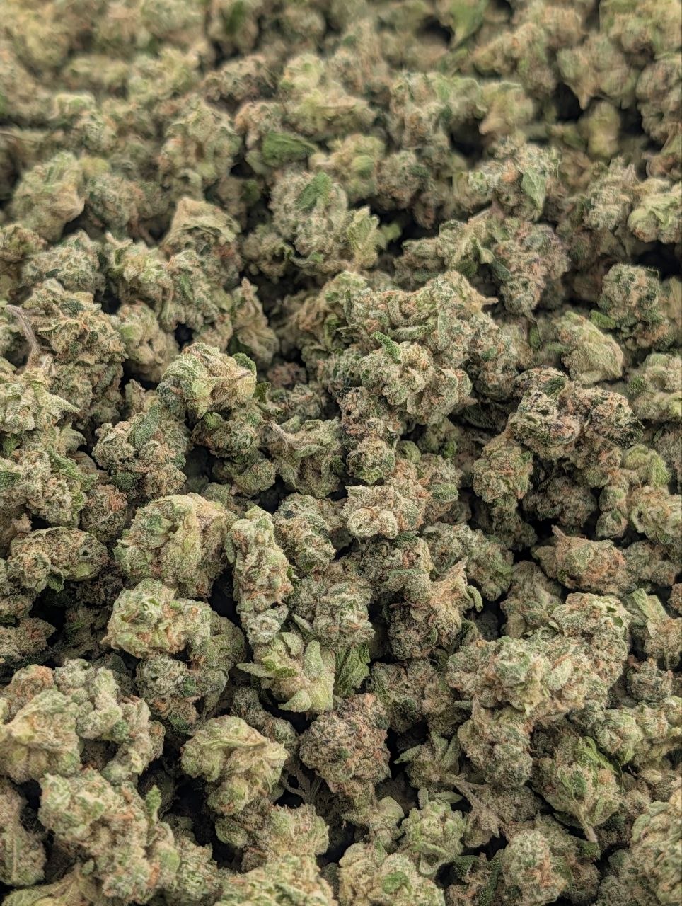 Zours 1/2oz (SMALLS) | Cali Blaise