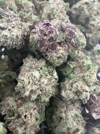 Purple Cat Piss 1/2oz (SMALLS) | Poundcake Farms
